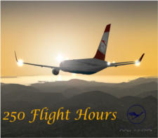 250 Flight Hours - given for completing 250 Flight Hours for DLHv