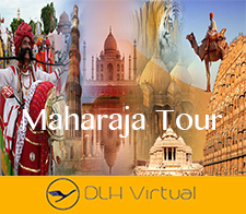 Indian Maharaja tour - 