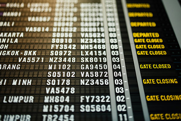 11 Airlines - all flight plans