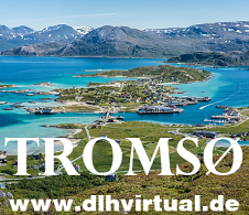 DLH Tromsø Challenge - given for completing the DLH Tromsø Challenge