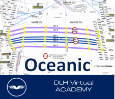 Academy / Oceanic - This award is given for participation in our Oceanic classes